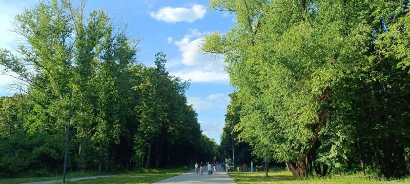 Рязанцам обещают жару и ливни с грозами